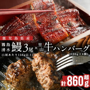 yӂ邳Ɣ[ŁzY NV3(1156g)×R100%no[O4(1100g) (v860gȏ) Ȃ V EiM Ă ^ Ș Vd  Y Y no[Oyuz