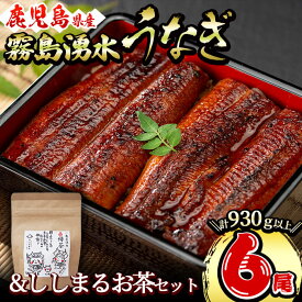 【ふるさと納税】霧島湧水鰻6尾＆ししまるお茶セット 霧島湧水鰻(156g以上×6尾)＆緑茶ティーバッグ(3g×6個) 鹿児島県産 うなぎ ウナギ たれ タレ さんしょう 山椒 セット 緑茶 お茶 うな重【志布志市観光特産品協会】c8-031