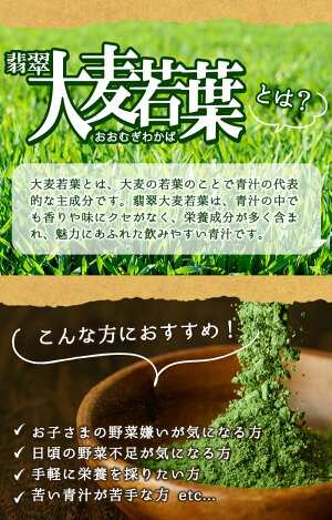 【ふるさと納税】鹿児島のおいしい青汁「翡翠大麦若葉」【JAあおぞら】B0-018