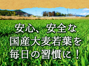 【ふるさと納税】鹿児島のおいしい青汁「翡翠大麦若葉」【JAあおぞら】B0-018