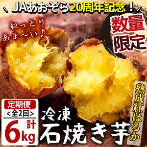 yӂ邳Ɣ[ŁzyʌzyցES2zIng͂邩̐ΏĂ v6kg(1kg×3×2) Yg͂邩𒙑nďĂ܂IWŉ߂Ă
