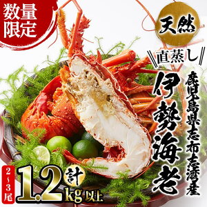 yӂ邳Ɣ[ŁzyʌzuzupY VR̈ɐCVv1.2kgȏ(2`3)uzupŐgꂽVNȃCZGrԂŒ}Ⓚ!Zȏo`킦