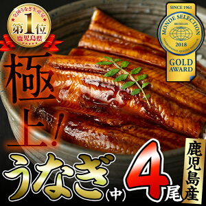 【ふるさと納税】鹿児島県大隅産!うなぎの蒲焼き4尾<計520g以上>くすだ屋の極上ウナギ(中サイズ)うな丼、うな重、ひつまぶしに【楠田養鰻】B0-038