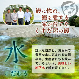 【ふるさと納税】鹿児島県大隅産!うなぎの蒲焼き4尾<計520g以上>くすだ屋の極上ウナギ(中サイズ)うな丼、うな重、ひつまぶしに【楠田養鰻】B0-038