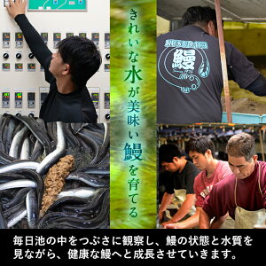 【ふるさと納税】鹿児島県大隅産!うなぎの蒲焼き4尾<計520g以上>くすだ屋の極上ウナギ(中サイズ)うな丼、うな重、ひつまぶしに【楠田養鰻】B0-038