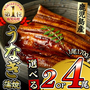 yӂ邳Ɣ[ŁzyIׂIzY ̋ɏイȂ(170g^2or4)Ȃ V EiM 2 4 Y BY Ă ΂₫ Ⓚ ȏd Ђ܂Ԃ ^ R ^pb