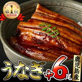 楽天市場 ふるさと納税 うなぎ 鹿児島の通販