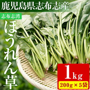 yӂ邳Ɣ[Łzs\tIR7N12z\聄yʌzuzupق񑐌v1kg(200g×5)łHׂق񑐁IT_ Ђ X` X[W[ ق W