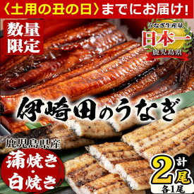 【ふるさと納税】【丑の日までにお届け！7月10日入金まで】【数量限定】鹿児島県産 伊崎田のうなぎ蒲焼き＆白焼きセット(計2尾/各1尾/計270g以上) 鰻 蒲焼 白焼き うなぎ ウナギ 2尾 国産 九州産 鹿児島県産 食べ比べ 有頭 無頭 うな重 うな丼【伊崎田養魚場】a5-240