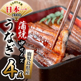 【ふるさと納税】鹿児島県産 伊崎田のうなぎ蒲焼 中＜150g以上＞× 4尾(計600g以上) 臭みが少なくふっくら旨い国産ウナギを香ばしく焼き上げ!鰻生産量日本一の鰻の無頭蒲焼 鰻重 うな丼 ひつまぶし【伊崎田養魚場】b7-020