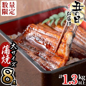 【ふるさと納税】【数量限定】鹿児島県産 伊崎田のうなぎ蒲焼 大＜170g以上＞× 8尾(計1.3kg以上) ふっくら旨い国産鰻!鰻生産量日本一の鹿児島のウナギ蒲焼を鰻重、うな丼、ひつまぶしで！【伊崎田養魚場】e4-005