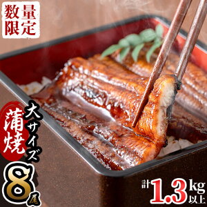 yӂ邳Ɣ[ŁzyʌzY ɍĉȂ 偃170gȏい× 8(v1.3kgȏ) ӂ|YV!VYʓ{̎̃EiMĂVdAȘAЂ܂ԂŁIy