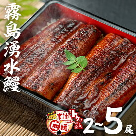 【ふるさと納税】【家計応援】【2025年8月末までに配送】【内容量が選べる】鹿児島県産 山田水産の霧島湧水鰻＜2尾＞or＜5尾＞(1尾あたり160g以上) うなぎ 鰻 ウナギ 2尾 5尾 国産 蒲焼き かばやき 冷凍 うな重 ランキング 人気【山田水産】