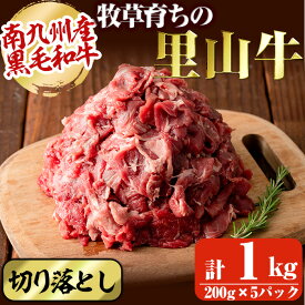 【ふるさと納税】【志布志市制20周年記念】＜期間限定規格＞国産黒毛和牛 牧草育ちの里山牛 切り落とし計1kg(200g×5パック) 黒毛和牛 和牛 肉 牛肉 国産 切り落とし 赤身 真空パック【さかうえ】a9-042