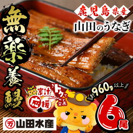 【ふるさと納税】【家計応援】【無薬養鰻】 鹿児島産 山田のうなぎ ＜計960g以上＞ (160g以上×6尾) うなぎ 鰻 ウナギ 無薬 養鰻 無投薬 6尾 国産 九州産 蒲焼き かばやき 冷凍 うな重 ひつまぶし タレ 山椒【山田水産】c2-014