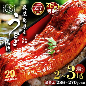 �y�ӂ邳�Ɣ[�Łz�y10�c�Ɠ��ȓ��ɔ����z�y���e�ʂ��I�ׂ�I�z���������Y���Ȃ����� �������V ������ 2�`3�� (�v500g�`750g�ȏ�E1��������236~270g) ����E�R���t�� ���Ȃ� �V �E�i�M ������ 2��