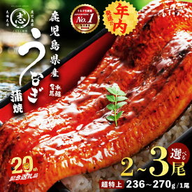 【ふるさと納税】【年内発送】【内容量が選べる！】鹿児島県産うなぎ蒲焼 名水慈鰻 超特上 2～3尾 (計500g～750g以上・1尾あたり236~270g) たれ・山椒付き うなぎ 鰻 ウナギ 超特大 2尾 3尾 かばやき うな重 ひつまぶし 冷凍 国産【志布志市制20周年記念】【鹿児島鰻】