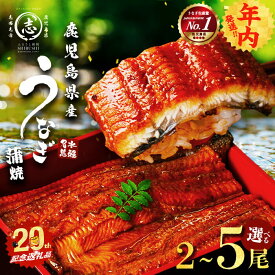 【ふるさと納税】【年内発送】【内容量が選べる！】鹿児島県産うなぎ蒲焼 名水慈鰻 2～5尾 (計210g～800g以上) たれ・山椒付き 鰻 ウナギ 5尾 国産 蒲焼 かばやき 冷凍 うな重 ひつまぶし タレ 山椒 ランキング 人気【志布志市制20周年記念】【鹿児島鰻】