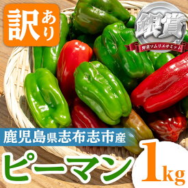 【ふるさと納税】志布志産訳ありピーマン(1kg) ピーマン 訳あり 野菜 やさい ぴーまん 新鮮 常温 常温保存 詰め合わせ 銀賞 銀賞受賞 野菜ソムリエサミット 【Farmers Villa Ume】p5-050