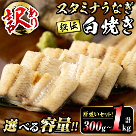 【ふるさと納税】【内容量が選べる】【訳あり】鹿児島県産！秘伝の特上スタミナうなぎ白焼き＜計300g～1000g以上＞肝吸いセット！にんにく黒酢パワーで丸々太った美味しい鰻！うなぎ ウナギ 鰻 白焼き うな肝 肝吸い 鹿児島【有明淡水】select