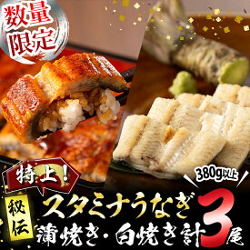 【ふるさと納税】【数量限定】鹿児島県産 秘伝の特上スタミナうなぎ蒲焼き＆白焼き＜計3尾・計380g以上＞ タレ・山椒付き ウナギ 鰻 蒲焼き かば焼き 白焼き セット 黒酢 ニンニク にんにく 無頭 有頭 鹿児島【有明淡水】b0-214