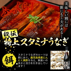 【ふるさと納税鹿児島県産!秘伝の特上スタミナうなぎ蒲焼き(2パック)ときざみ鰻(1パック)をタレ多めのハーフカットで!肝吸い3人前・タレ付き♪にんにく黒酢パワーで丸々太った美味しい鰻【有明淡水】A-285