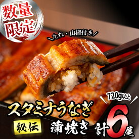【ふるさと納税】【数量限定】鹿児島県産！秘伝のスタミナうなぎ蒲焼き＜計6尾・計720g以上＞ にんにく黒酢パワーで丸々太った美味しい鰻! うなぎ ウナギ 鰻 蒲焼き スタミナ 黒酢 ニンニク 有頭 鹿児島【有明淡水】c9-008