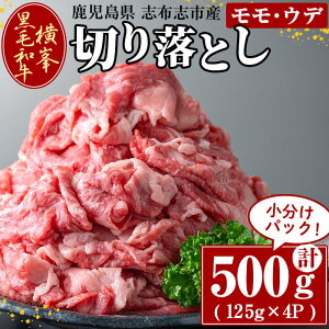 yӂ邳Ɣ[ŁzuzusYјa̐؂藎Ƃ(v500gE125g×4P) Y Y   XCX ؂藎Ƃ Ă 󏭋   Ef o[xL[ BBQ Ă 