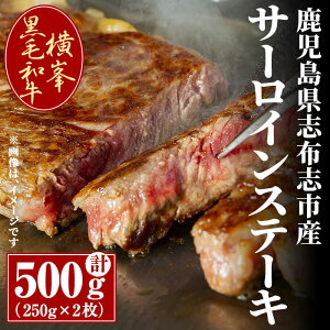 yӂ邳Ɣ[ŁzuzusYјãT[CXe[Lv500g(250g×2) Y Y   Ă 󏭋 T[C Xe[L o[xL[ BBQyGOaz d0-030