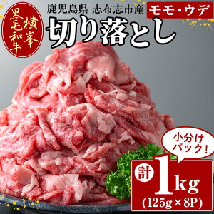 yӂ邳Ɣ[ŁzuzusYјa̐؂藎Ƃ(v1kgE125g×8P) Y Y   XCX ؂藎Ƃ Ă 󏭋   Ef o[xL[ BBQ Ă 