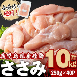 yӂ邳Ɣ[Łzŕ֗IY{ v10kg(250g×40P) { Ƃ    wV[ _CGbg J[ {  ^ ^pbN ۑ Jbg Jbg