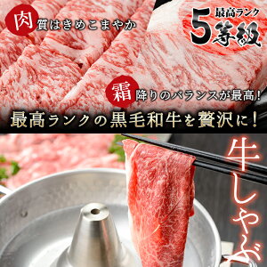 【ふるさと納税】日本一の和牛!最高ランク5等級の鹿児島黒牛と黒豚しゃぶしゃぶセット(計2.1kg)牛肉肩ロース・リブロース、豚バラ・ロース豚肉【そお鹿児島】D-033