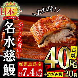 楽天市場 うなぎ 養殖 餌の通販