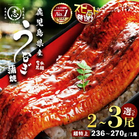 【ふるさと納税】【10営業日以内に発送】【内容量が選べる！】鹿児島県産うなぎ蒲焼 名水慈鰻 超特上 2〜3尾 (計500g〜750g以上・1尾あたり236~270g) たれ・山椒付き うなぎ 鰻 ウナギ 超特大 2尾 3尾 かばやき うな重 冷凍 国産【鹿児島鰻】