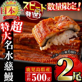 【ふるさと納税】【数量限定】鹿児島県産うなぎ蒲焼 名水慈鰻 超特大サイズ2尾(計約500g・1尾あたり236~270g) たれ・山椒付き うなぎ 鰻 ウナギ 超特大 2尾 かばやき うな重 ひつまぶし 冷凍 国産 鹿児島【鹿児島鰻】a6-059
