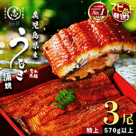 【ふるさと納税】【10営業日以内に発送】うなぎ養殖日本一！鹿児島県産うなぎ蒲焼 名水慈鰻 特上3尾(1尾190g以上)＜計570g以上＞たれ・山椒付き 鰻 ウナギ 3尾 国産 蒲焼 かばやき 冷凍 真空 真空パック 無頭 うな重 ひつまぶし【鹿児島鰻】