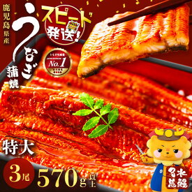 【ふるさと納税】うなぎ養殖日本一！鹿児島県産うなぎ蒲焼 名水慈鰻 特大3尾(1尾190g以上)＜計570g以上＞たれ・山椒付き 鰻 ウナギ 3尾 国産 蒲焼 かばやき 冷凍 真空 真空パック 無頭 うな重 ひつまぶし【鹿児島鰻】