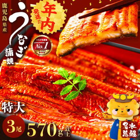 【ふるさと納税】【年内発送】うなぎ養殖日本一！鹿児島県産うなぎ蒲焼 名水慈鰻 特大3尾(1尾190g以上)＜計570g以上＞たれ・山椒付き 鰻 ウナギ 3尾 国産 蒲焼 かばやき 冷凍 真空 真空パック 無頭 うな重 ひつまぶし【鹿児島鰻】