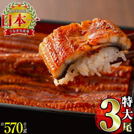 【ふるさと納税】うなぎ養殖日本一！鹿児島県産うなぎ蒲焼 名水慈鰻 特大3尾(1尾190g以上)＜計570g以上＞たれ・山椒付き 鰻 ウナギ 3尾 国産 蒲焼 かばやき 冷凍 うな重 ひつまぶし タレ 山椒【鹿児島鰻】b3-006