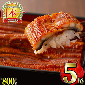 【ふるさと納税】《丑の日までにお届け》 【緊急支援企画】 【数量限定】生産量日本一！鹿児島県産うなぎ蒲焼 名水慈鰻5尾(1尾156〜185g以上)＜計800g以上＞国産ウナギの美味しい蒲焼きをご自宅で♪【鹿児島鰻】b5-131