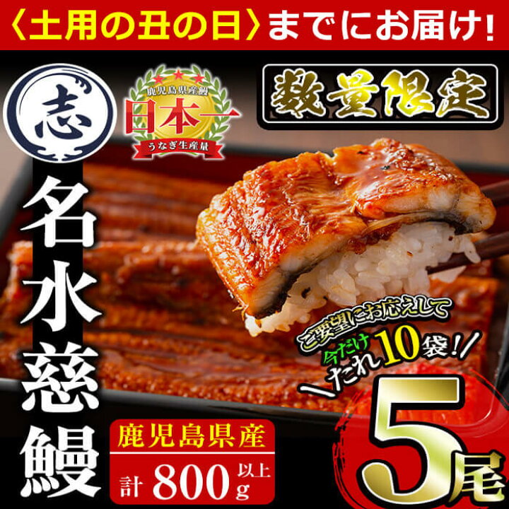 鰻生産量日本一の鹿児島県産 うなぎの大楠 特大 国産ウナギの蒲焼きを冷凍真空パック B0 071 170g 3 たれ付きでお届け 3尾セット計510g
