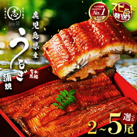 【ふるさと納税】【10営業日以内に発送】【内容量が選べる！】鹿児島県産うなぎ蒲焼 名水慈鰻 2～5尾 (計350g～800g以上) たれ・山椒付き 鰻 ウナギ 2尾 3尾 5尾 国産 蒲焼 冷凍 うな重 ひつまぶし タレ 山椒 ランキング 人気【志布志市制20周年記念】【鹿児島鰻】