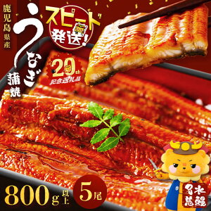 yӂ邳Ɣ[Łzyuzus20NLOzyʌzYȂ V5(v800gȏE1160g`190gȏ) V EiM 5 Y  ΂₫ Ⓚ ȏd Ђ܂Ԃ ^