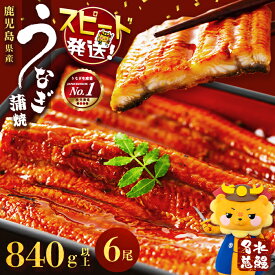 【ふるさと納税】うなぎ 養殖日本一！鹿児島県産うなぎ 蒲焼 名水慈鰻 6尾＜計840g以上＞うなぎ 鰻 ウナギ 国産 6尾 蒲焼き かばやき 冷凍 うな重 人気 【鹿児島鰻】c3-024
