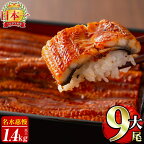 うなぎ養殖日本一！鹿児島県産うなぎ蒲焼 名水慈鰻大9尾(1尾あたり156～190g)＜計1400g(1.4kg)以上＞国産ウナギの美味しい蒲焼きをご自宅で♪【鹿児島鰻】e8-001