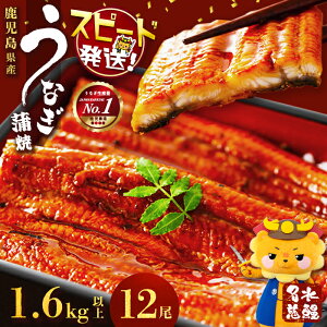yӂ邳Ɣ[ŁzyʌzȂ {B{IY Ȃ  V 12(1120g~160g)v1.6kgERt Ȃ V EiM Ă Y Y  