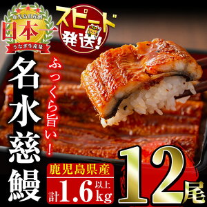 yӂ邳Ɣ[ŁzyʌzȂ {B{IY Ȃ  V 12(1120g~160g)v1.6kgERt Ȃ V EiM Ă Y Y  