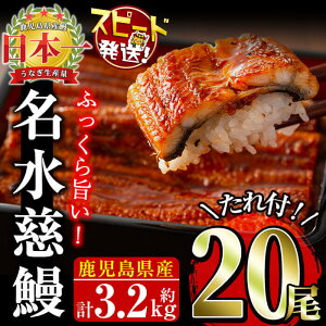 yӂ邳Ɣ[ŁzȂ {B{IY Ȃ V 20(1 160g)v 3.2kgI ERtI Ȃ V EiM Y Ă ΂₫ Ⓚ ȏd lC eʁy
