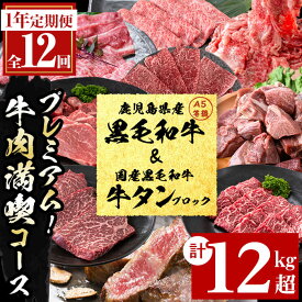 【ふるさと納税】【定期便・全12回】＜A5等級＞鹿児島県産黒毛和牛＆国産牛タン プレミアム！牛肉満喫コース＜計12kg超＞ 定期便 牛肉 肉 1年 12回 12ヶ月 お楽しみ バラエティ 小分け 牛たん すき焼き しゃぶしゃぶ ステーキ 焼肉 セット 頒布会 【カミチク】t026-001