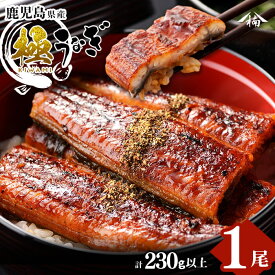 【ふるさと納税】鹿児島県大隅産！楠田の極うなぎ蒲焼き 1尾(有頭230g以上×1)こだわり真空パックで肉厚の国産鰻をお届け！タレ付き【楠田淡水】a3-184